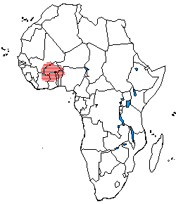 The distribution of Gur languages