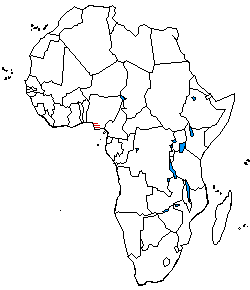 The distribution of Ijoid languages